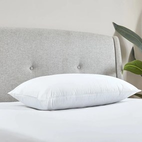 Poduszka wypełniona pianką pamięciową 48x74 cm Luxury Multi Relax – Catherine Lansfield