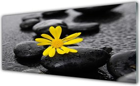 Panel Szklany Słoneczny Akcent w Gabinecie Spa