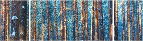 Obraz - Zimowy las (170x50 cm)