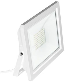 Eglo 64864 - LED Naświetlacz FILETTI LED/50W/230V 4000K IP65 biały