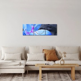 Obraz szczegółu kwiatu (z zegarem) (90x30 cm)