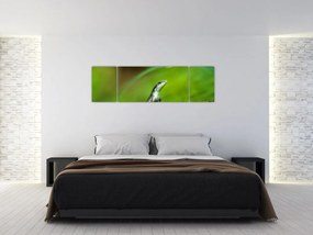 Obraz jaszczurki (170x50 cm)
