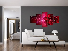 Obraz czerwonego kwiatu (125x70 cm)