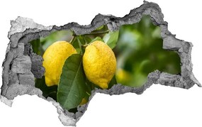 Samoprzylepna naklejka Cytryny na drzewie