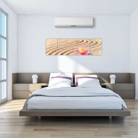 Obraz kamienia z kwiatem na piasku (170x50 cm)