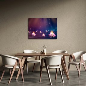 Obraz - Magiczne lilie wodne (70x50 cm)