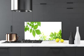 Szkło Ozdobne do Kuchni Aksamitne Płatki Kwiatowe