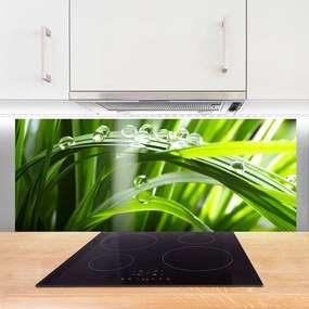 Panel nad blat kuchenny Perlista Rosa na Trawie