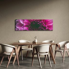 Obraz różowego kwiatu róży (170x50 cm)