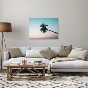 Obraz na szkle - Palma na Bali (70x50 cm)