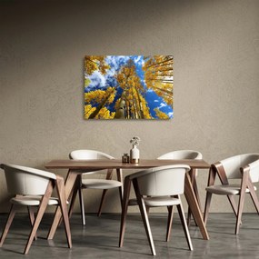 Obraz na szkle - Aspen (70x50 cm)