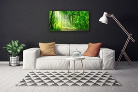 Obraz Canvas Las dróżka Drzewa Natura