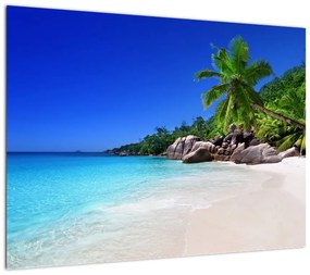 Obraz plaży na wyspie Praslin (70x50 cm)