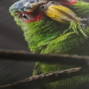 Obraz papugi (z zegarem) (90x30 cm)