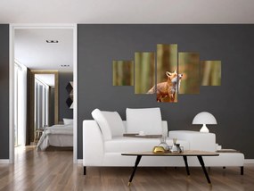 Obraz - Lis (125x70 cm)