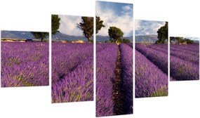 Obraz - Pole lawendy i góry (125x70 cm)
