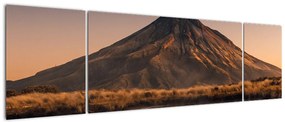 Obraz odbicia góry Taranaki, Nowa Zelandia (170x50 cm)