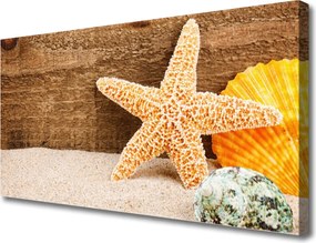Obraz canvas Skarby Morza na Piasku