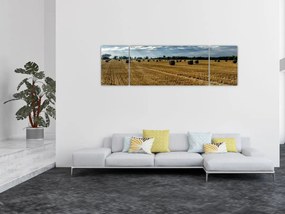 Obraz zebranego pola zboża (170x50 cm)