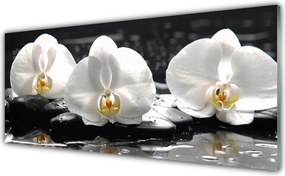 Szkło do Kuchni na Ścianę Subtelny Biały Storczyk