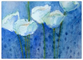 Obraz na szkle - Białe tulipany (70x50 cm)