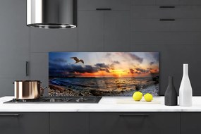 Panel Kuchenny Mewa Nad Brzegiem Oceanu