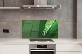 Szklany Panel Poranny Detal na Liściu