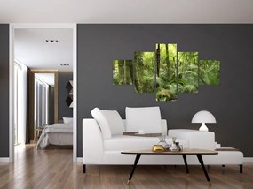 Obraz tropikalnego lasu deszczowego (125x70 cm)