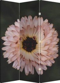 Parawan - Pomarańczowy kwiat (126x170 cm)