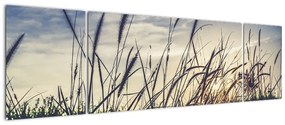 Obraz kwiatów łąkowych (170x50 cm)