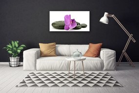 Obraz canvas Królewska Orchidea w Detalu