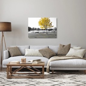 Obraz na szkle - Odpoczynek w parku (70x50 cm)