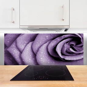 Szkło Ozdobne do Kuchni Aksamitna Róża w Rozkwicie