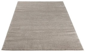 Dywan VERLICE BEIGE 160x230 beżowy ELTAP