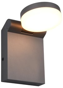 Lampa zewnętrzna (wysokość 19 cm) Adour – Trio