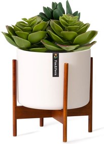 Fox & Fern Thorn Doniczka na stojaku