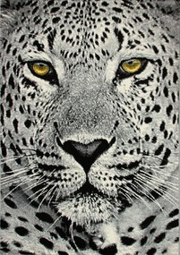 Dywan Koloreo Pantera szary 120x170 Prostokąt