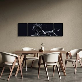 Obraz - Koń i woda (170x50 cm)