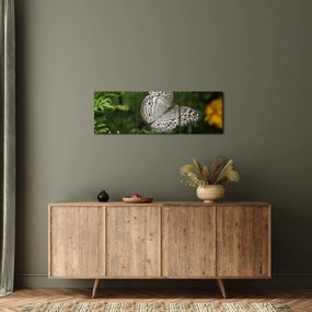 Obraz - biały motyl (z zegarem) (90x30 cm)