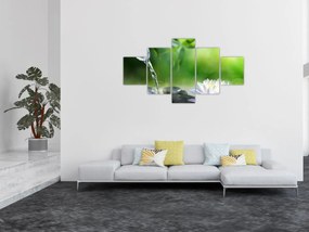 Obraz - Lotos (125x70 cm)