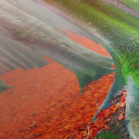 Obraz drzew (170x50 cm)
