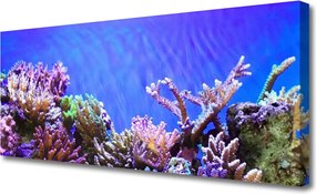 Obraz canvas Podwodny Świat Rafy Koralowej