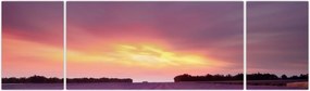 Obraz - Pole lawendy (170x50 cm)