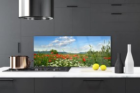 Panel Szklany Sielska Polana Kwiatowa