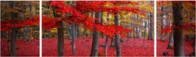 Obraz - Czerwony Las (170x50 cm)