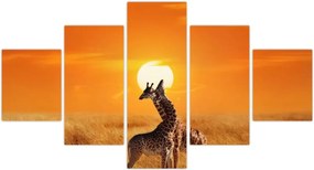 Obraz - Żyrafy w Parku Narodowym Serengeti (125x70 cm)