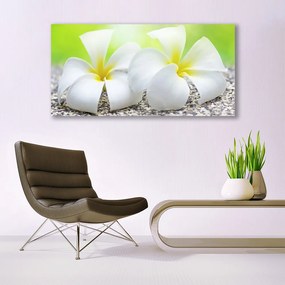 Obraz na płótnie Romantyczna Flora Ogrodowa