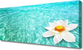 Obraz canvas na ścianę Kwiat Lotosu na Wodzie