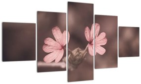 Obraz kwiatu róży (125x70 cm)