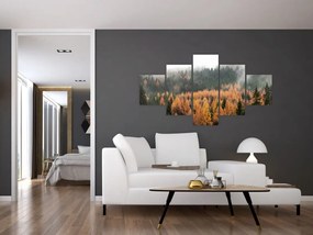 Obraz - Jesienny las (125x70 cm)